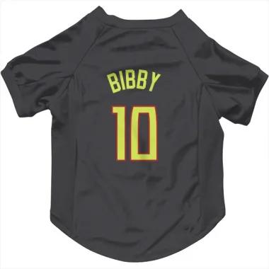 Gray Atlanta Hawks Mike Bibby   Dog & Cat Pet Jersey